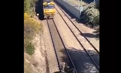 Tren raylarına bağlanarak ölüme terk edilen köpeği son anda kurtardı..!