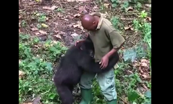 Bakıcısı ile eğlenceli vakit geçiren gorilin o anları viral oldu!