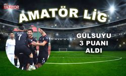 Gülsuyu in Gümüşhane out: 3-0
