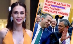 Ayşe Hatun Önal, Özgür Özel ve Ali Mahir Başarır'a ne diye hakaret etti?