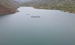 Erzincan'daki Göyne Barajı bahar yağışlarıyla doldu