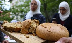 Kastamonu'nun siyezi Orta Doğu pazarına açılacak