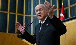 Devlet Bahçelİ'den sokak hayvanları yorumu: 'Çok tehlikeli'