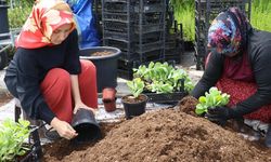 Babalarının şirketini devralan kız kardeşler 15 ülkeye ihracat yapıyor