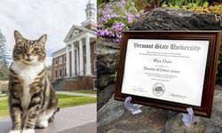 İşte dünyanın doktoralı ilk kedisi!