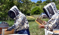 Arıcılar 1744 rakımlı Dinek Dağı'nda devlet desteğiyle bal üretiyor