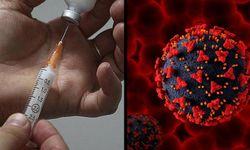 Hepatit B ırkçı çıktı! Asya kökenliler Hepatit B hastalığına daha yatkın
