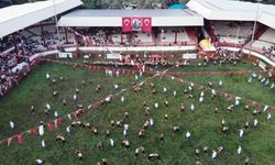 663. Tarihi Kırkpınar Yağlı Güreşleri öncesi kriz
