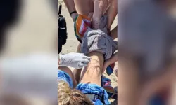 14 yaşındaki çocuğa köpekbalığı saldırdı