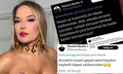 Demet Akalın'ın amacı ne? Her sene bir kuzenini köpekler parçalıyor!