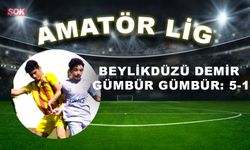 Beylikdüzü Demir gümbür gümbür: 5-1