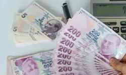 Yeni banknot belli oldu: 500 lira yakında böyle görünecek