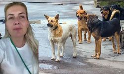 SON DAKİKA | Kuduz köpekleri taşıyan Buket Özgünlü tutuklandı!