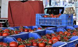 Mayıs ayında domates üretiminde artış, fiyatında düşüş yaşandı