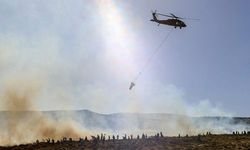 Diyarbakır'ın Çınar ilçesinde yangın çıktı