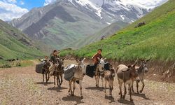 Hakkari'deki Han Yaylası, Şırnaklı göçerleri ağırlıyor