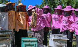 Pembe kıyafetli arıcılar, organik bal üretiminde söz sahibi olmak istiyor