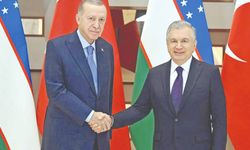 Özbekistan Cumhurbaşkanı Mirziyoyev, Türkiye'de