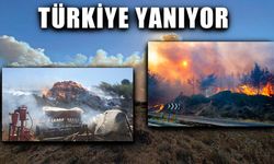 Ekipler seferber oldu! Türkiye'de yangın felaketi
