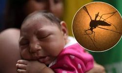 Türkiye’de durum ne?.. İtalya Zika Virüsü’ne tedbir alıyor