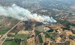 Çanakkale'de orman yangını başladı! Ayvacık yanıyor