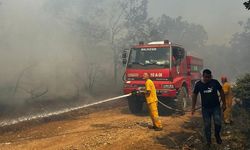 Balıkesir Kepsut'ta çıkan orman yangını kontrol altına alındı