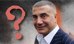 Sedat Peker'le ilgili şaşırtan iddia: Parti kurup, Türkiye'ye mi dönüyor?