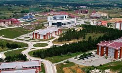 Kastamonu Üniversitesi, buzağı ölümlerini araştıracak