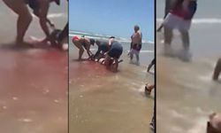 Dehşet dolu anlar: Köpekbalıkları peş peşe saldırdı