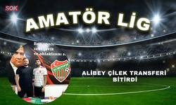 Alibey çilek transferi bitirdi