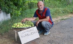 Bahçesinde yetiştirdiği ürünleri yoldan geçenlerle paylaşıyor