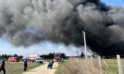 Tekirdağ'da boya fabrikasında korkutan yangın