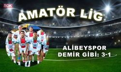 Alibeyspor demir gibi: 3-1