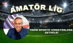 Tekin sportif direktörlüğe getirildi