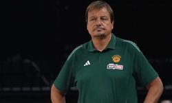 Ergin Ataman, Fenerbahçe camiasından özür diledi