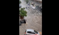 Fransa'nın Cannes şehrinde aşırı yağış su baskınlarına neden oldu