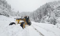 Karadeniz'de karla mücadele çalışmaları devam ediyor