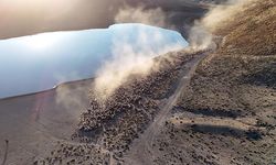 Sürülerin Nemrut Dağı'na tozlu yolculuğu