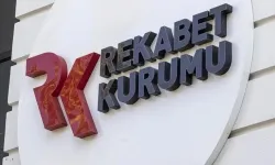 Erikli ve Pınar Su'ya dev ceza