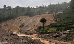 Rize'de sağanak hayatı olumsuz etkiledi