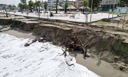 Sakarya'nın Karasu sahilindeki kıyı erozyonu sürüyor