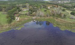 Terkos Gölü'ndeki doğanın renkleri dronla görüntülendi