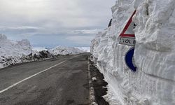 Ardahan-Ardanuç kara yolu ilkbahar aylarına kadar ulaşıma kapatıldı