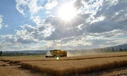 Türkiye gıda arzında sürdürülebilirlik için Avrupa ile ortak projelere odaklandı