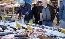 Hamsinin kulağına kar suyu kaçtı