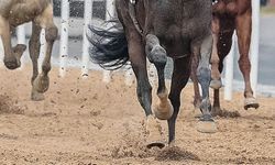 TJK Başkanı Serdal Adalı, atçılıkta "VAR" sisteminin uygulanacağını açıkladı