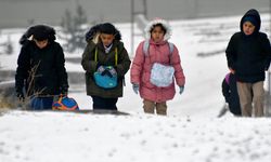 Kars, Ardahan, Ağrı ve Tunceli'de kar yağışı etkili oldu