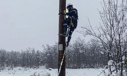 Orta Karadeniz'de kar yağışı ve fırtınanın yol açtığı elektrik kesintileri giderildi