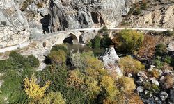 Nemrut Dağı eteklerinde sonbahar renkleri hakim oldu