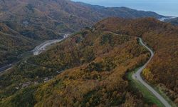 Karadeniz'de sonbahar tüm renkleriyle yaşanıyor